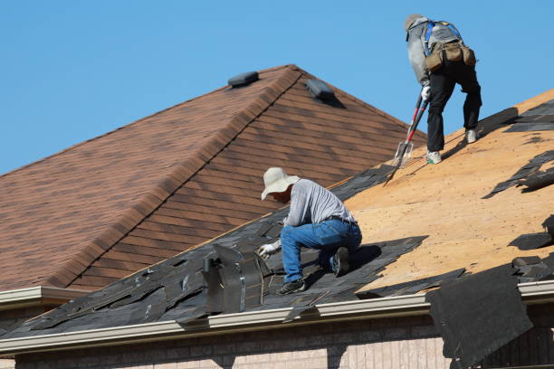 Best Roof Leak Repair  in Severance, CO